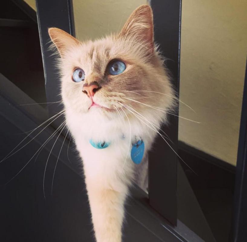 Leeroy