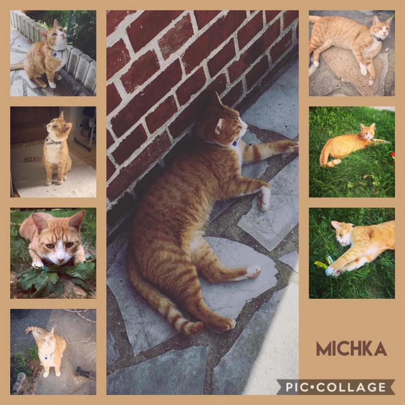 Album Michka