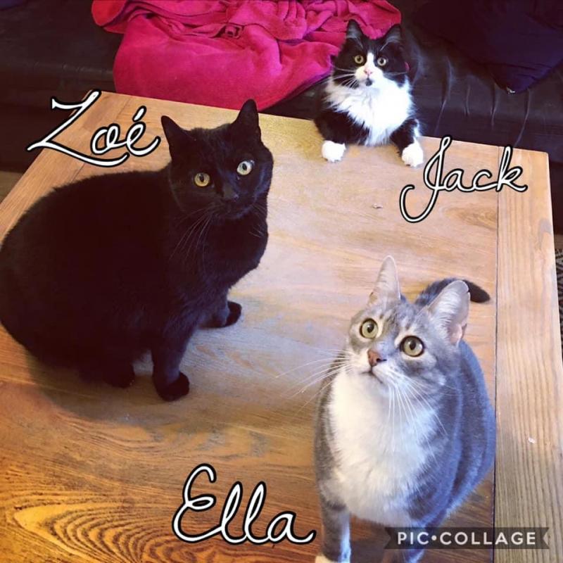 Zoe, Ella & Jack